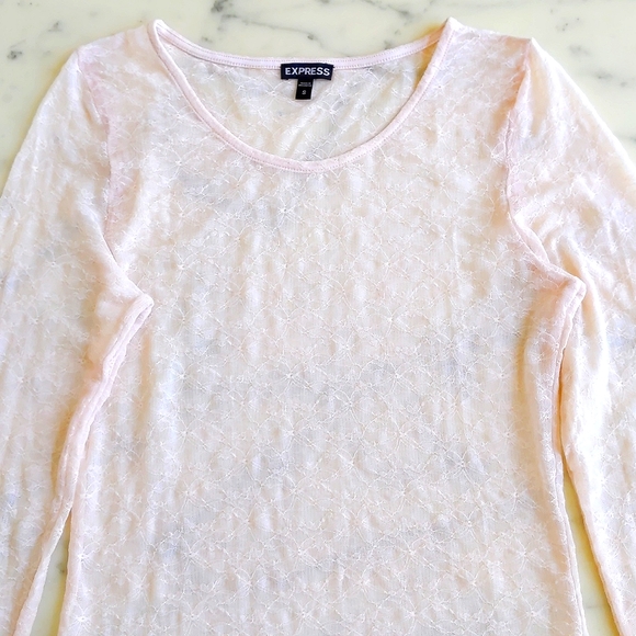 NWOT. Express Nylon and Spandex All Lace Long Sleeve Light Pink Blouse. - Picture 4 of 4